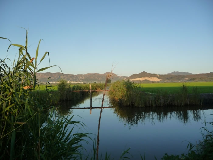 Marjal de Pego, Costa Blanca