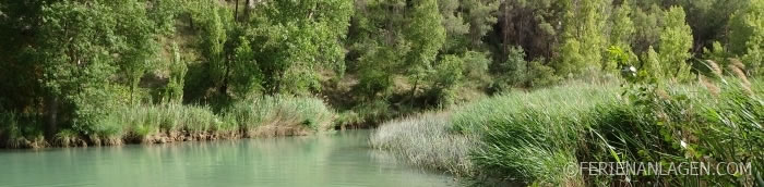 Cuenca (Fluss)